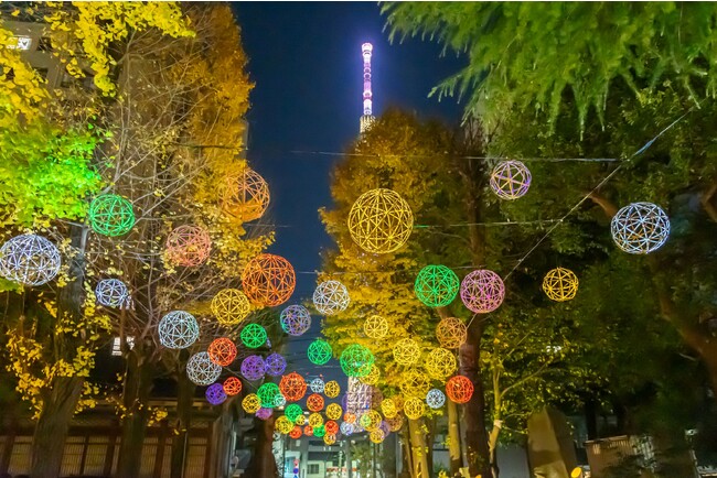 牛嶋神社「竹あかりライトアップ」（昨年）