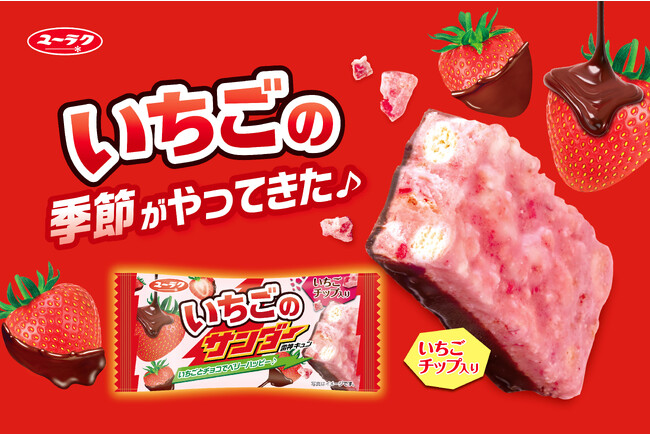 いちごの季節到来！チョコといちごでベリーハッピー♪ 『いちごの