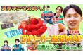 広島サンダーズの金子聖輝選手がお気に入りスポットを公開！「定休日が変わってました」行きつけのお店での店主の気遣いに感謝『SVリーガー出没MAP〜広島サンダーズ・金子聖輝選手〜