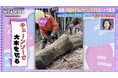 家賃3,000円で8DK！島崎遥香似の林業シングルマザーが明かす山奥生活の実態「死亡率が圧倒的に高い」過酷すぎる林業のリアルにスタジオ驚愕｜『ななにー 地下ABEMA』#129