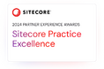 株式会社LYZONは「Sitecore Practice Excellence Award 2024」をアジア地区No.1として初受賞しました