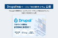 【LYZON】Drupal特集ページの新作コラム7本を6月20日に公開