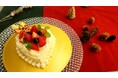ケーキ付きの限定宿泊プランで、思い出に残る聖なる一夜を「クリスマスケーキ付きプラン」を数量限定で販売