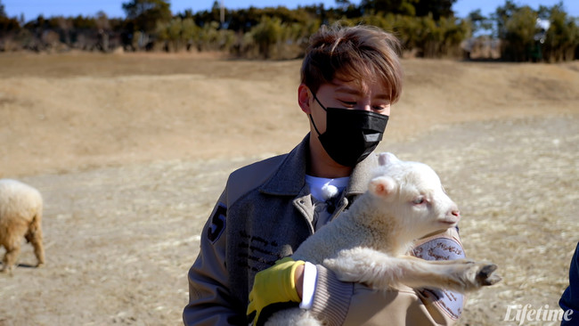 (C) 2022, Lifetime Korea, LLC. All rights reserved. (C) 2022, Lifetime Korea, LLC. All rights reserved.