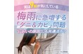 【実は9割が気にしている】梅雨に急増する「ダニ&カビ」問題…“においの原因”にも共通点が?