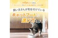 【約6割以上の方がキャットフードやおやつの添加物が気になると回答!】飼い主さんが気を付けているキャットフードの選び方とは...?