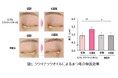 自然由来成分ククイナッツオイルのまつ毛育毛メカニズムと伸長効果を解明
