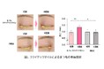 自然由来成分ククイナッツオイルのまつ毛育毛メカニズムと伸長効果を解明