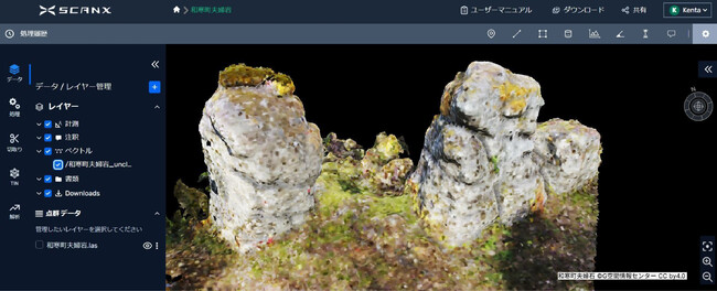入り組んだ3D構造を有する、メッシュ化の難しい岩の例