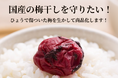 【歴史的雹被害】梅ボーイズのクラウドファンディングを5月10日に開始。雹で傷ついた梅を活かし、日本の梅文化を継承
