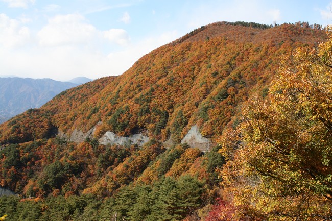 甲州いろは坂