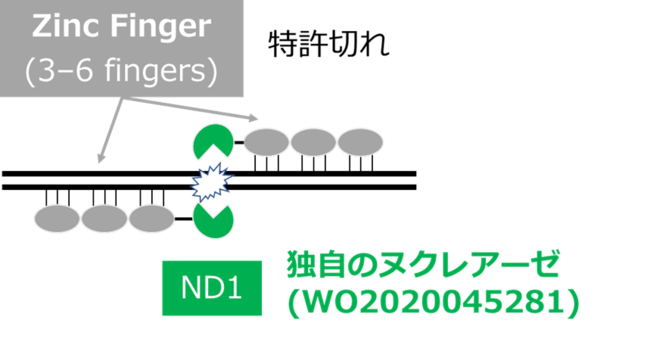 図1 独自のZF-ND1の概要図 図1 独自のZF-ND1の概要図