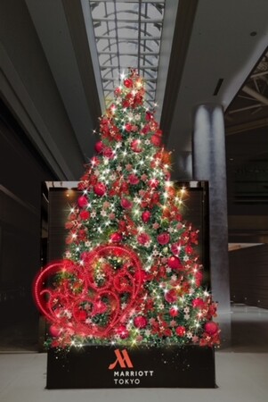 クリスマスツリー　イメージ