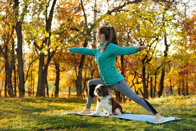 DOG YOGA イメージ