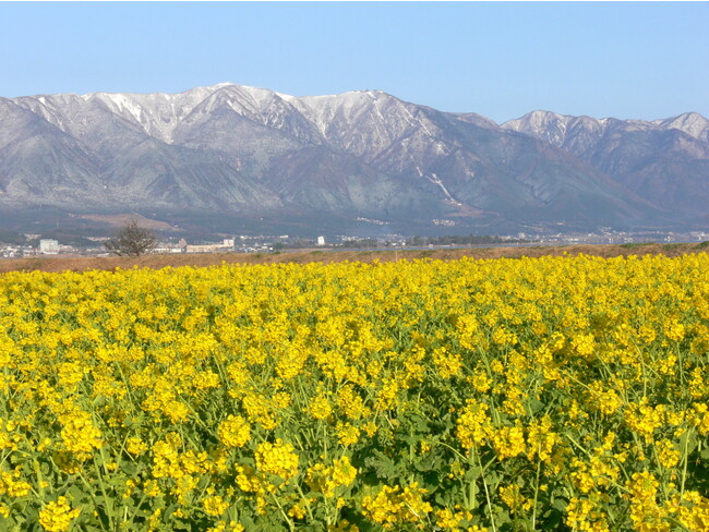 「第1なぎさ公園」 提供 びわ湖ビジターズビューロー 「第1なぎさ公園」 提供 びわ湖ビジターズビューロー