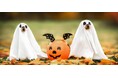 ラフォーレリゾート修善寺 秋めく修善寺で、愛犬と一緒にハロウィンパーティー「Halloween Doggycation in Shuzenji」開催
