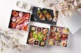 【東京マリオットホテル】桜の名所・御殿山で麗らかな春を堪能する「GOTENYAMA SAKURA BOX」発売