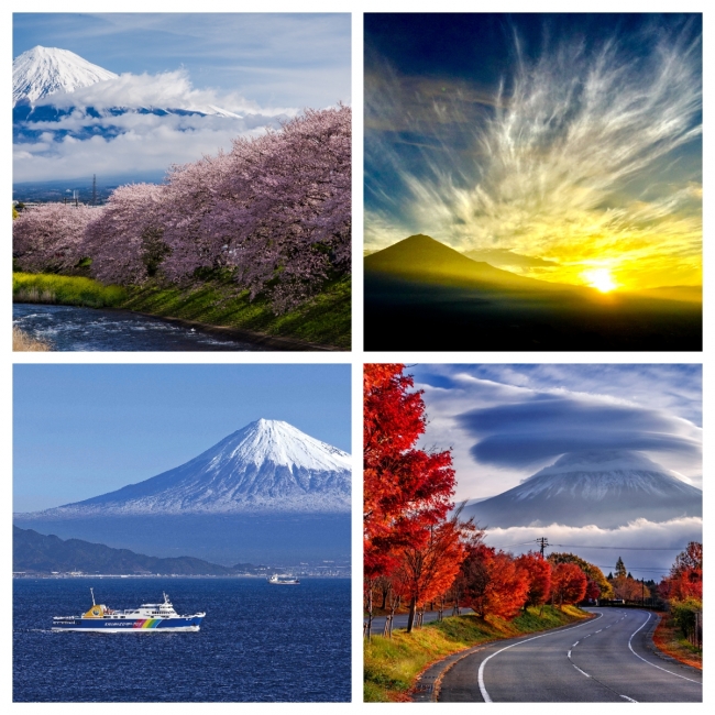 写真提供　静岡県観光協会