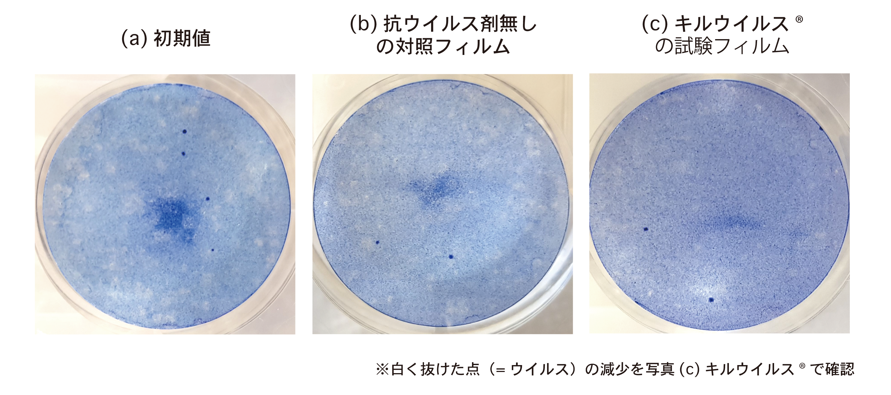 新型コロナ 除菌フイルムで国立大学が減少を確認 世界初 株式会社リディアワークスのプレスリリース