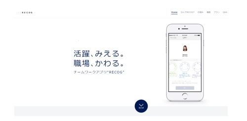 D6523 264 616481 0