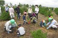 国土緑化推進機構「緑の募金」への寄付に対し、農林水産大臣より感謝状をいただきました～「社会貢献付 エコ住宅専用 住まいる共済」～