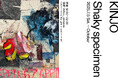 KINJOが自身のルーツである沖縄で初個展「Shaky specimen」を開催。滞在リサーチを通じて制作した新作群を発表。
