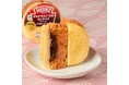 コンビニ初のコラボレーションが実現!ハインツのトマトケチャップやデミグラスソースの味わいが楽しめるコラボ商品5種類を全国のファミリーマートで4月1日(火)発売
