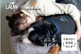 しっかり休んで、明日の犬生をもっと良く。LAUW×VENEXコラボ『リカバリーDOGウェア』発売