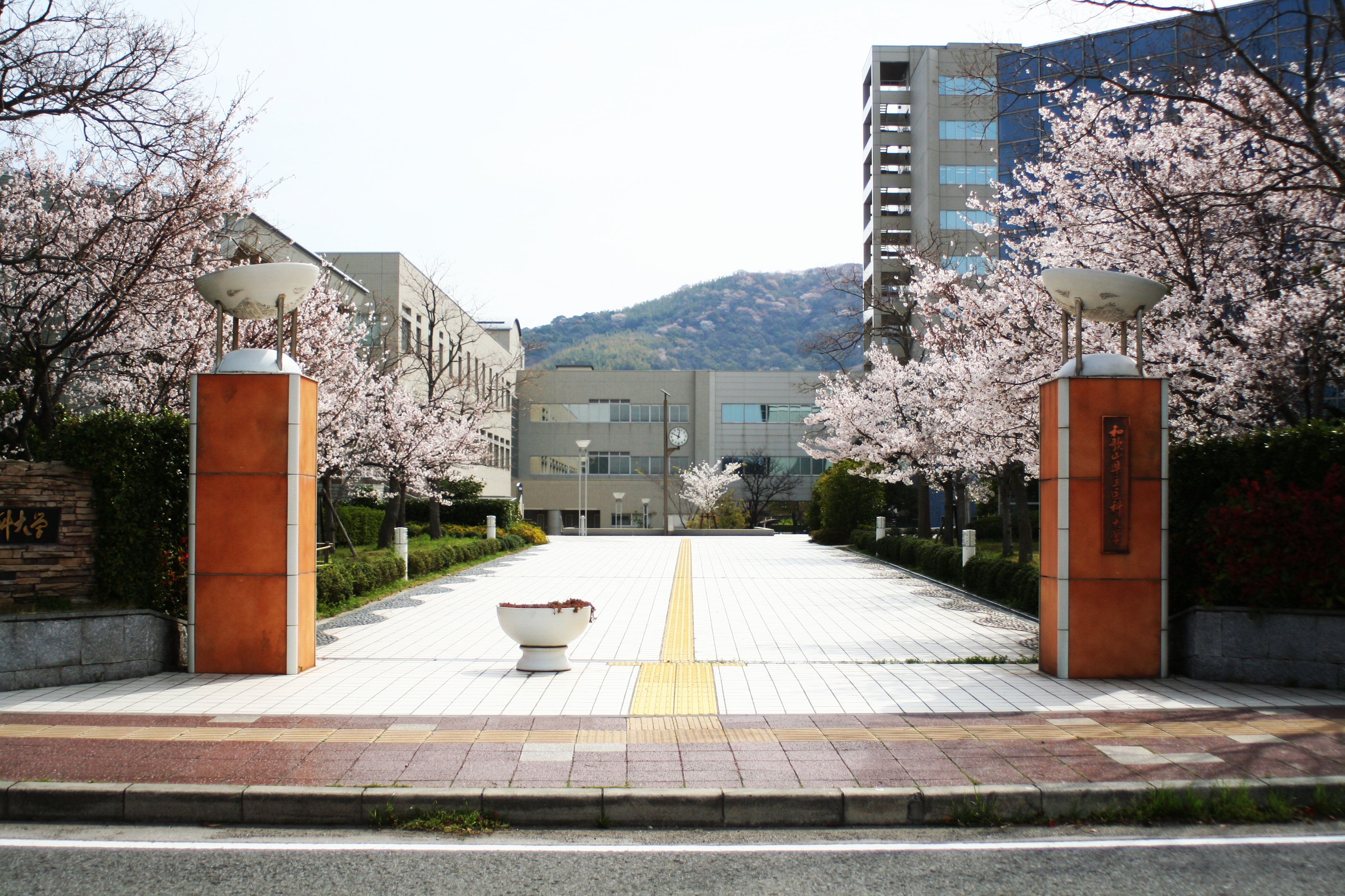 和歌山県立医科大学 医学部 Web Open Campus の開催について 公立大学法人 和歌山県立医科大学のプレスリリース