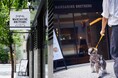 【MANDARINE BROTHERS】ペットのためのシンプルかつ遊び心に溢れたブランドの直営店が自由が丘に移転&リニューアルオープン!