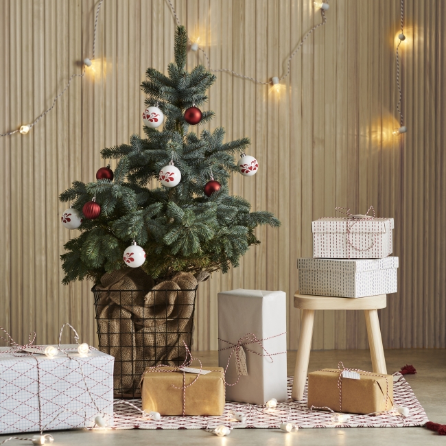 今年もイケアに本物のモミの木がやってくる ローストフェア ジンジャーブレッドハウスコンテスト クリスマス ディナービュッフェも開催 イケア ジャパン株式会社のプレスリリース
