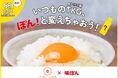 たまごかけごはん専用味ぽん!?「味ぽんfor TKG」を開発