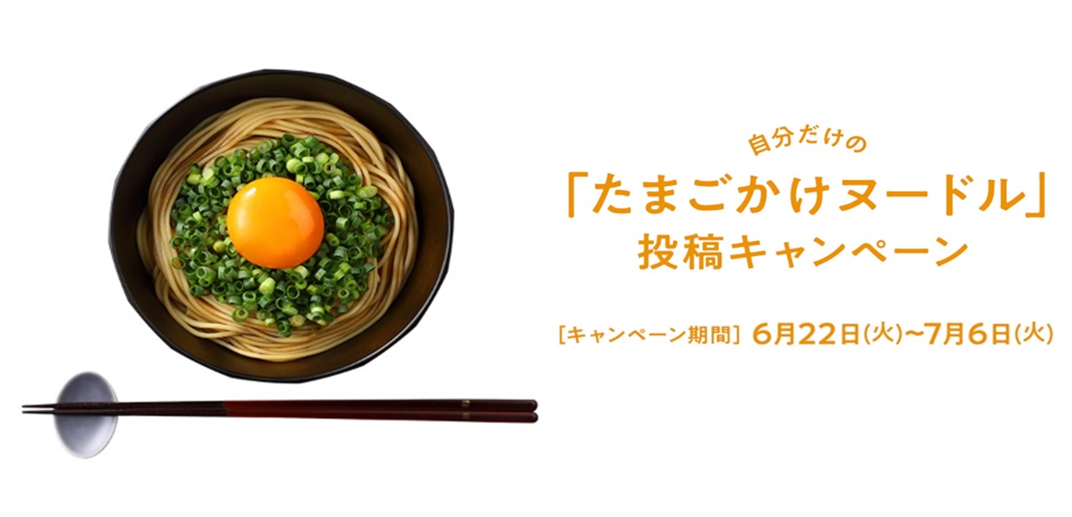 期間限定60％OFF! なかむら半生うどん６食かけつゆ付き 送料無料