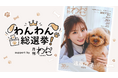 【愛犬が日本一に！？】みんなの一票でグランプリを決定する「わんわん総選挙」開催決定！