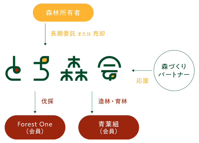 新た一般社団法人