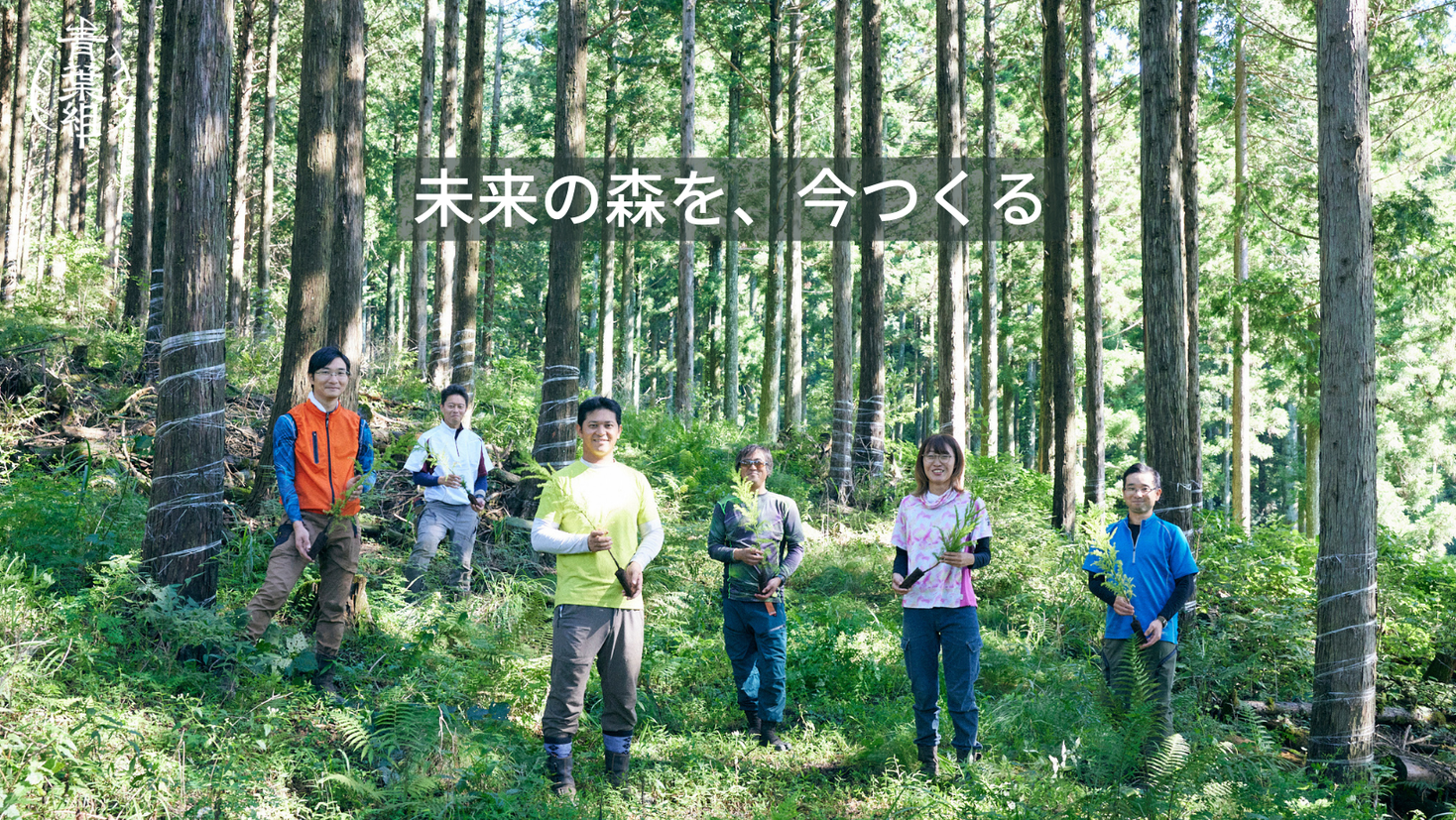 news feed image