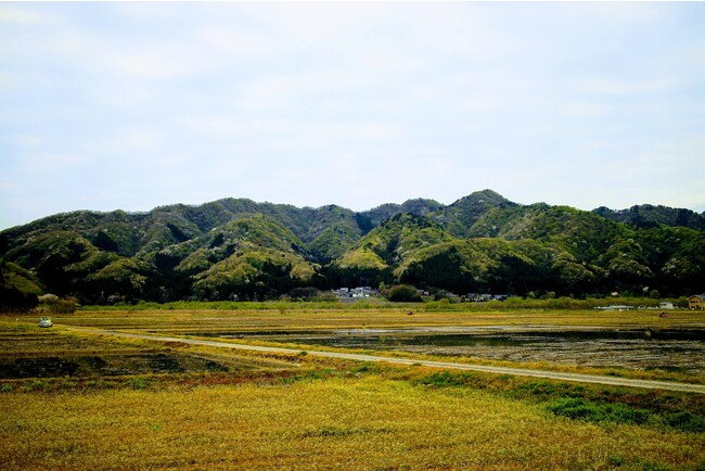新潟県村上独自の新た森林循環モデル