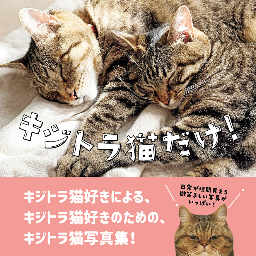 キジトラ猫好きによる キジトラ猫好きのための キジトラ猫写真集が発売 株式会社東京ニュース通信社のプレスリリース