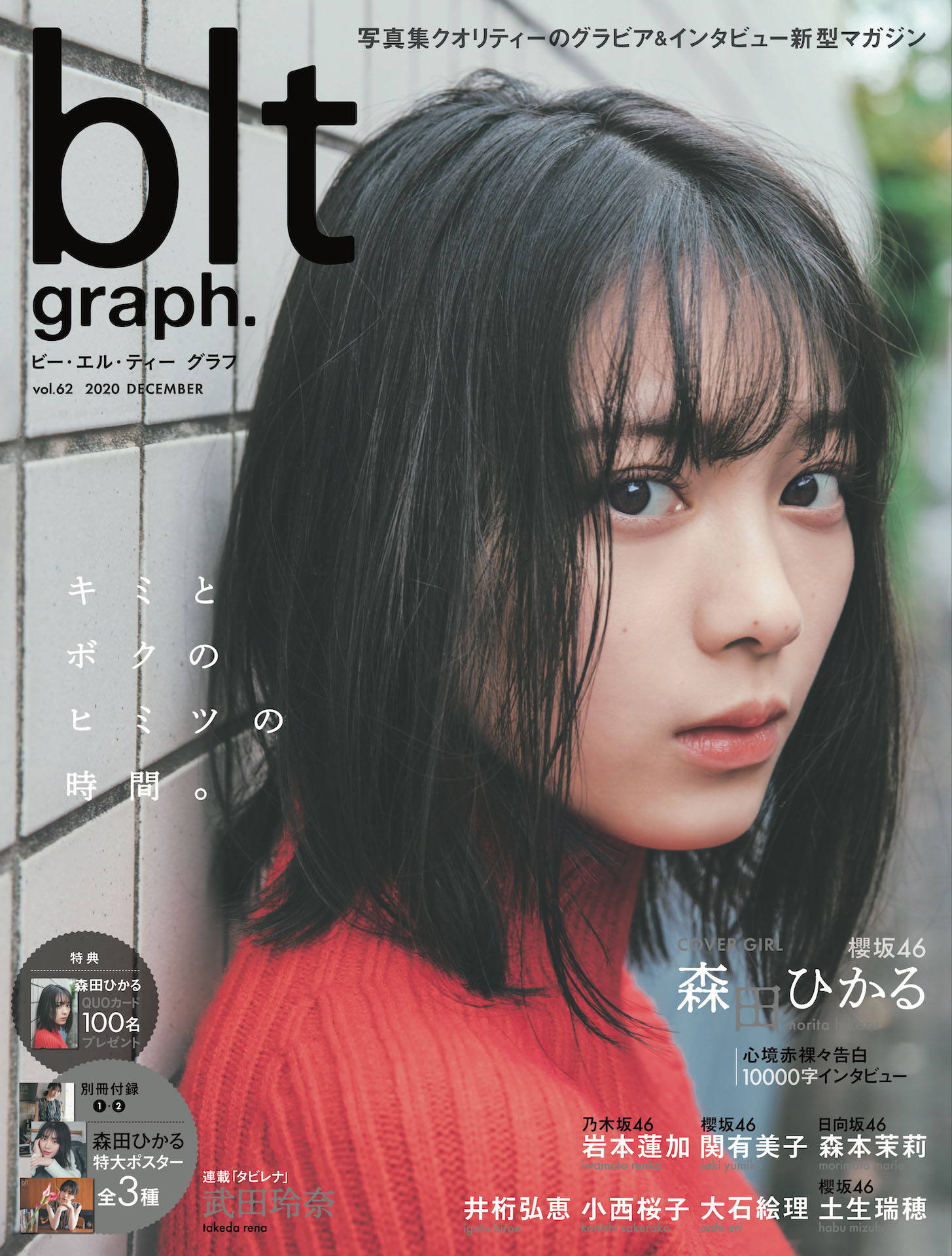 Addiction 櫻坂46 CD 特典 クリアファイル 森田ひかる 24枚