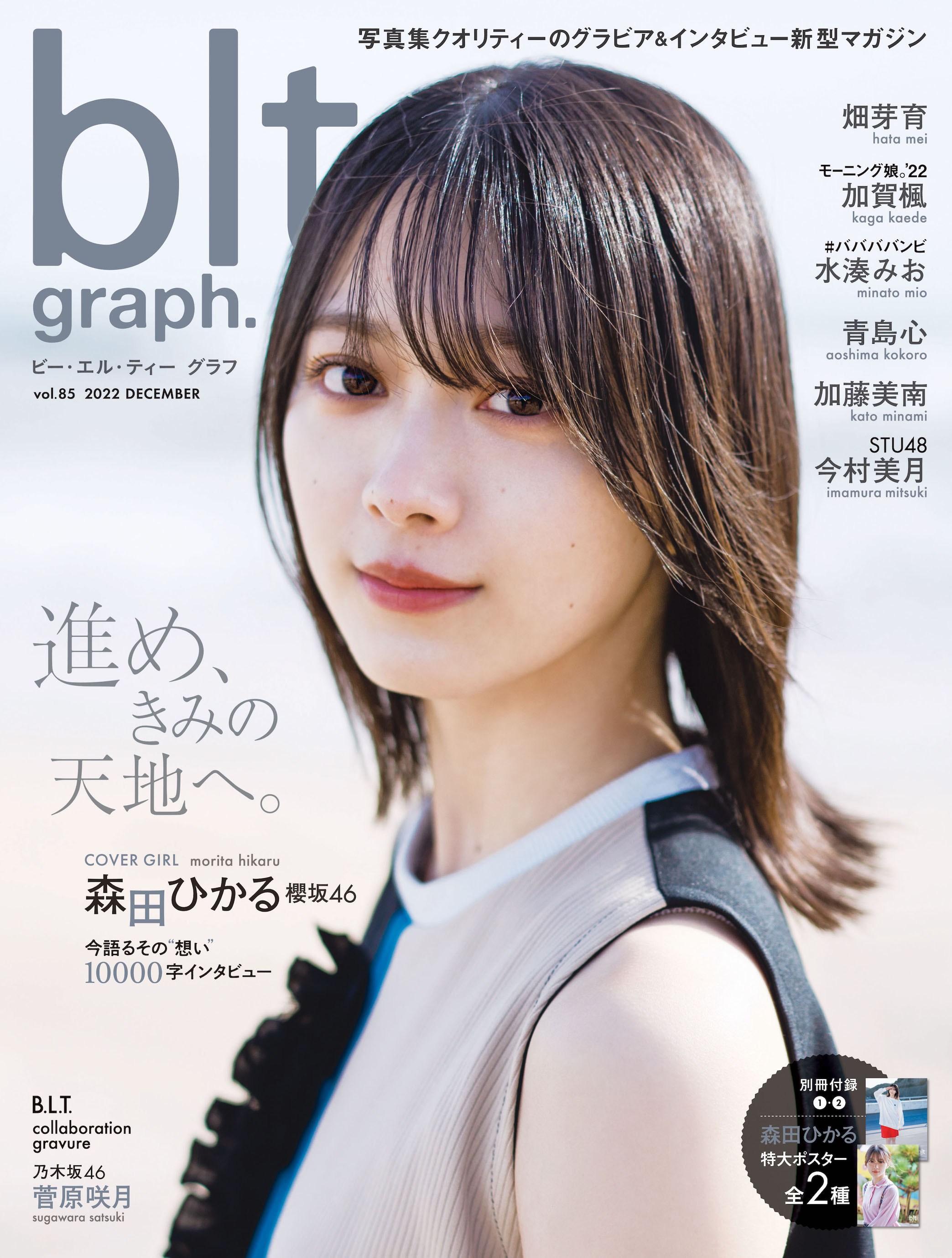 坂道アイドル表紙雑誌まとめ売り - アイドル