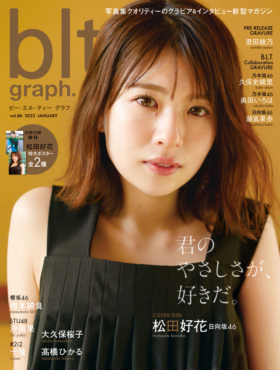 乃木坂46 櫻坂46 日向坂46 写真集 雑誌 まとめ売り - 参考書