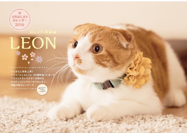 おしゃれ美猫 Leon レオン 4月はじまりカレンダー16 カレンダー発売のご案内 株式会社東京ニュース通信社のプレスリリース