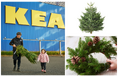 イケア、本物のモミの木を11月22日（土）より販売開始