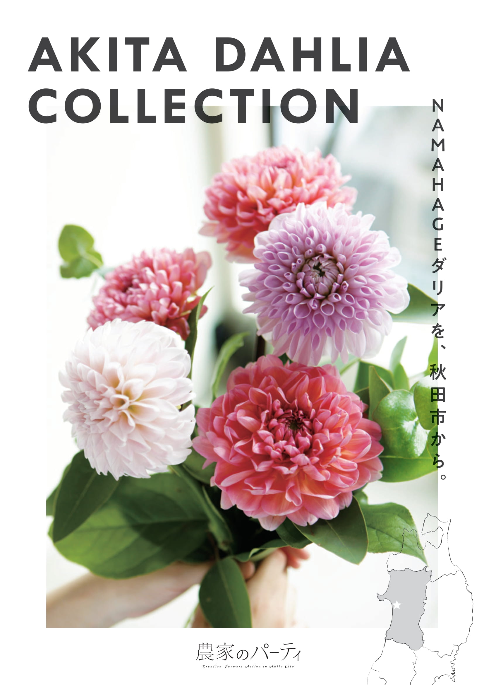 秋田市産ダリア 日比谷花壇タイアップキャンペーン ａｋｉｔａ ｄａｈｌｉａ ｃｏｌｌｅｃｔｉｏｎ を開催します 秋田市のプレスリリース