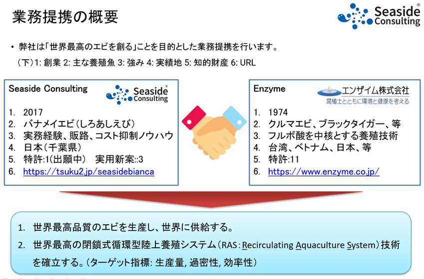 世界最高のエビを創る 千葉県鋸南町の耕作放棄地を活用したエビ養殖seaside Consultingと フルボ酸技術を用い国内外のエビ養殖 で実績のあるエンザイムが業務提携 エンザイム株式会社のプレスリリース