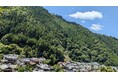 大阪・関西万博 関西パビリオン京都ゾーン 2025年9月1日からの「いのちの週」にNPO法人itswellnessが出展 ― 森林浴をテーマに、未来社会に向けたウェルネスツアーを提案