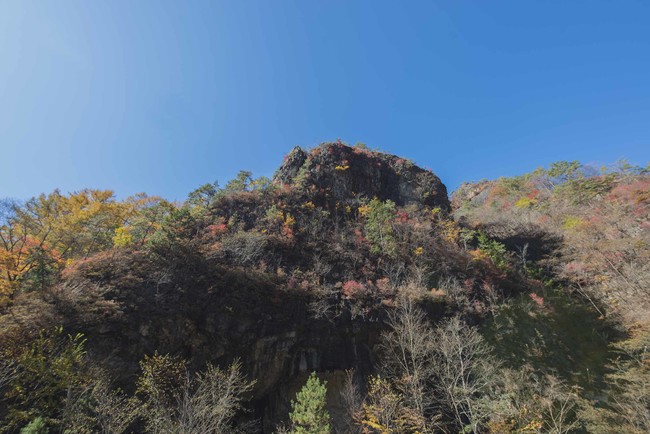 小滝地区　旧火薬庫　象岩の紅葉　2020年10月下旬