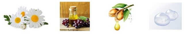 4つの美容液成分（左から）カミツレ花エキス、ブドウ種子油、アルガニアスピノサ核油、ヒアルロン酸Na