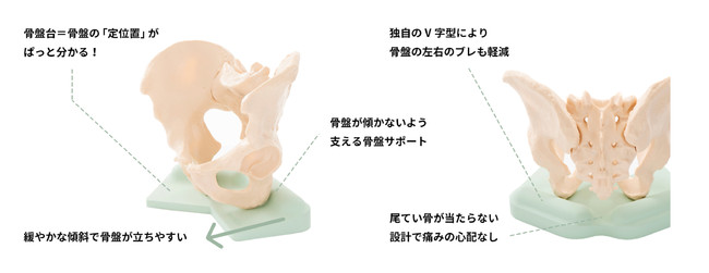 矯正しない 正しい姿勢を自然に保つ こどもの骨盤クッション 11月19日発売 株式会社アークズのプレスリリース