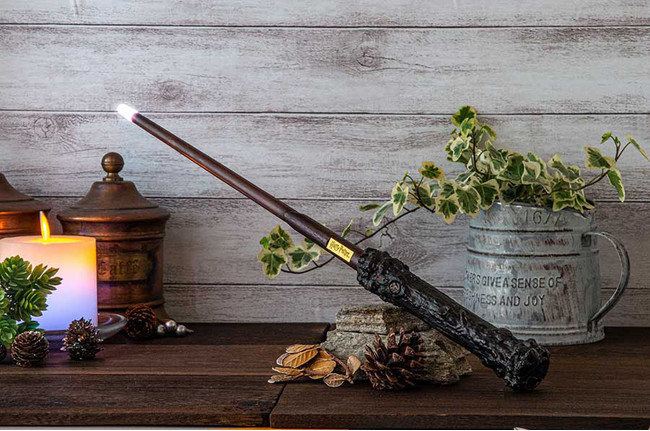 ハリー・ポッター 音声認識 魔法の杖(C) & (TM) Warner Bros. Entertainment Inc. Publishing Rights (C) JKR. (s22) ハリー・ポッター 音声認識 魔法の杖(C) & (TM) Warner Bros. Entertainment Inc. Publishing Rights (C) JKR. (s22)